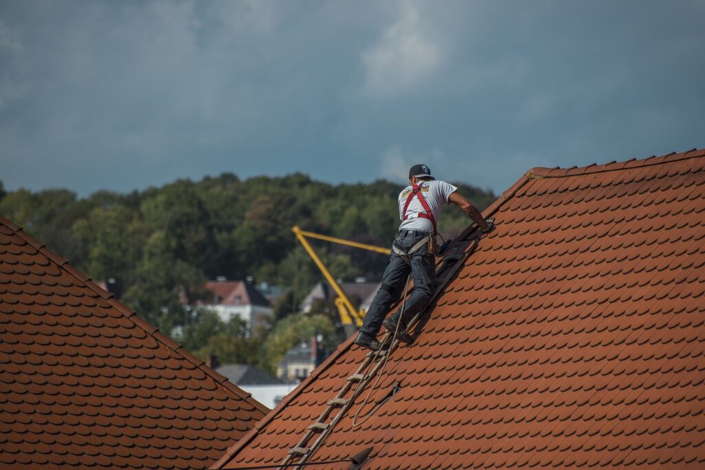 roofers, roof, roofing-2891664.jpg